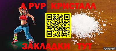 спайс Малгобек