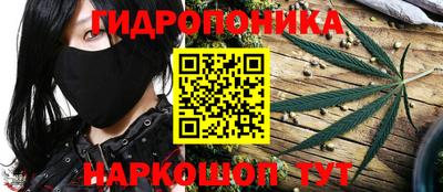 спайс Малгобек
