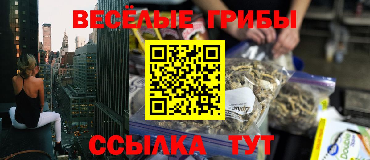 Псилоцибиновые грибы Psilocybine cubensis Вышний Волочёк